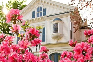 为什么不同品种海参价格不一样?