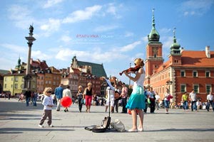 野生海参多少钱一斤？与养殖海参价格区别在哪？