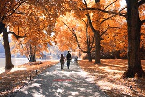 海参泡发需要注意什么？怎么才能泡的更大