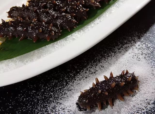 海参食用量 (1).jpg