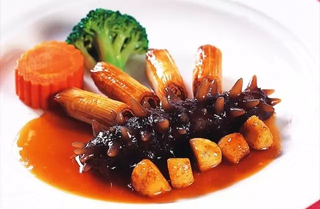 海参食用量 (3).jpg