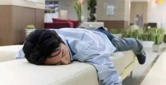 吃海参的量 (3).jpg