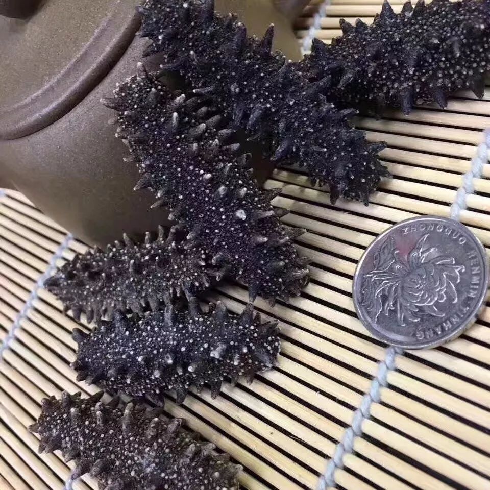 海参有沙子处理方法 (1).jpg