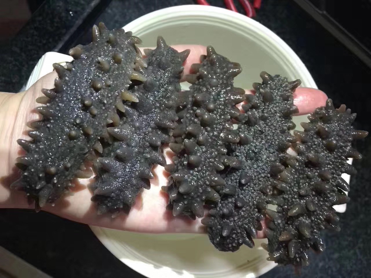 海参有沙子处理方法 (5).jpg